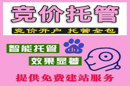 百度竞价代理的客户案例：如何实现ROI最大化